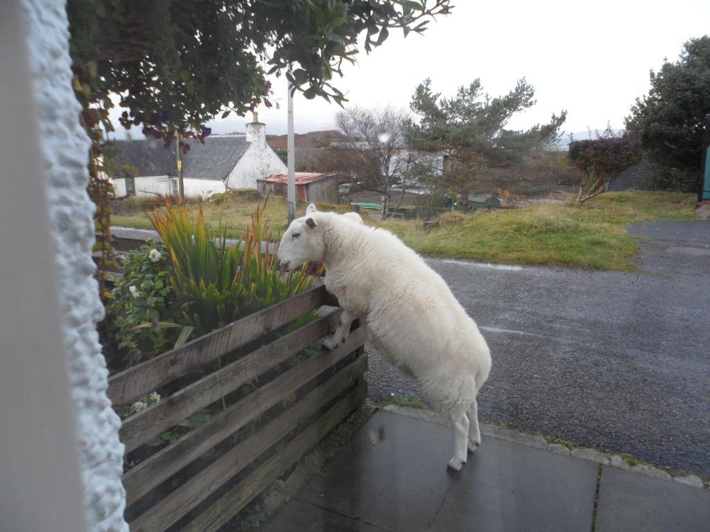 Creag Dubh Bed & Breakfast Kyle of Lochalsh Dış mekan fotoğraf